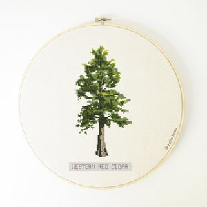 Western Red Cedar Baum Kreuzstich-Muster PDF