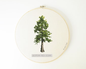 Tree cross stitch pattern - Western Red Cedar - botanical cross stitch - PDF - Instant download