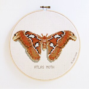Moth cross stitch pattern - Atlas Moth - PDF - Instant download
