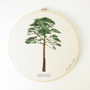 Könnte beinhalten: Eine Kreuzstich-Stickerei eines Schotten-Kiefernbaums in einem hölzernen Stickrahmen. Der Rahmen ist weiß mit dem aufgedruckten Text "SCOTS PINE" und "© hello hoop".