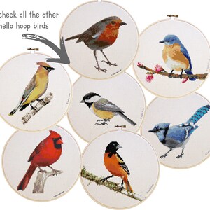 May include: A collection of seven cross-stitch embroidery hoops featuring various colorful birds. Each hoop showcases a different bird species, including a robin, bluebird, and cardinal, all set against a white background. The text "check all the other hello hoop birds" is in the upper left.