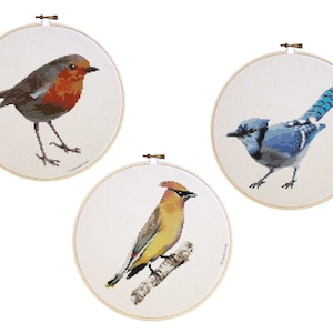 Bird Cross Stitch Pattern: Robin, Blue Jay, Cedar Waxwing (PDF Download)