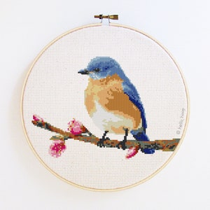 Eastern Blue Bird cross stitch pattern - birds embroidery - PDF - Instant download