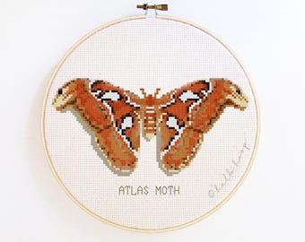 Moth cross stitch pattern - Atlas Moth - PDF - Instant download
