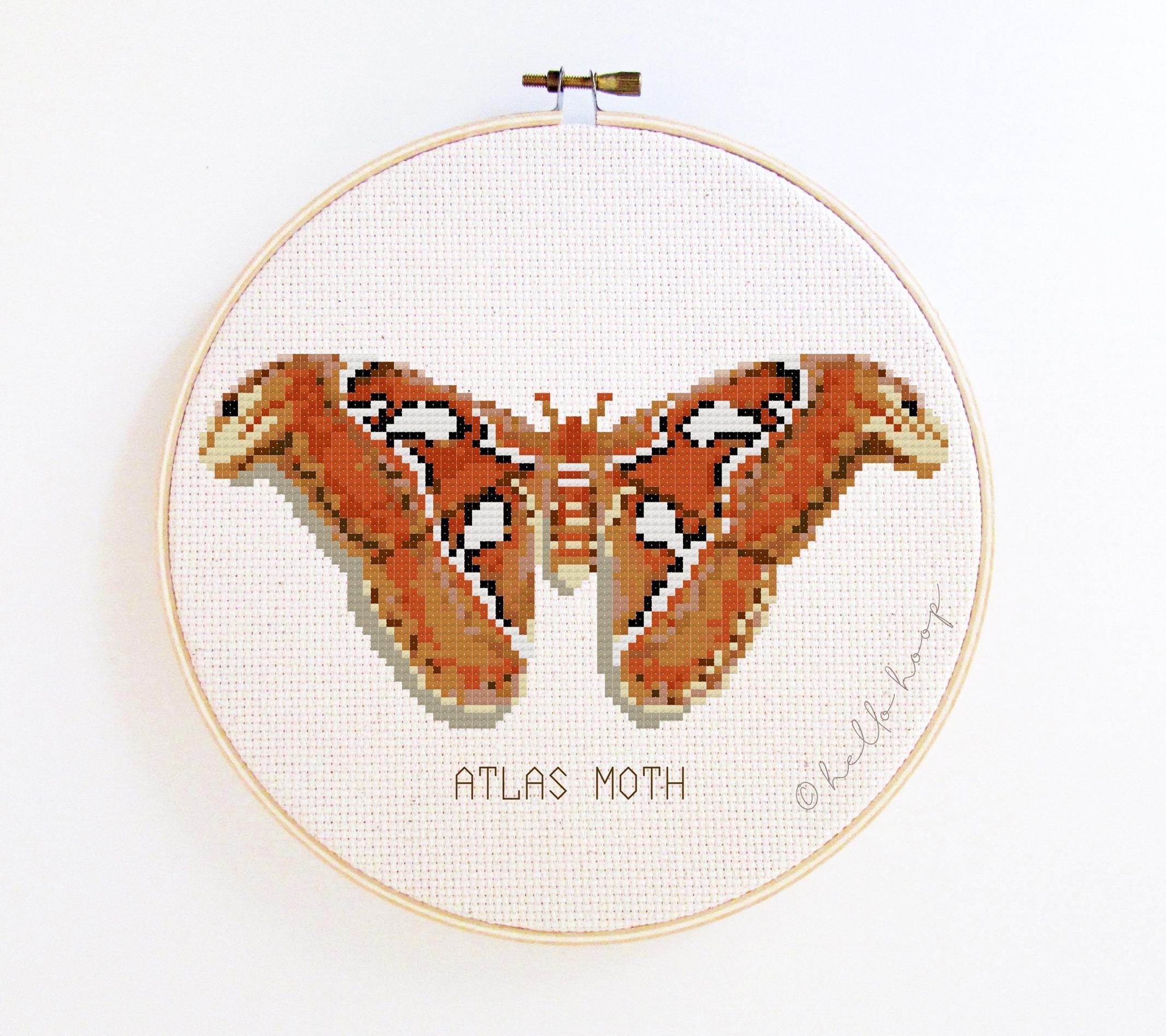 Moth Cross Stitch Pattern - Atlas Moth - PDF - Instant Download - Etsy