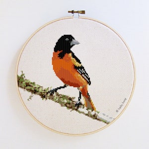 May include: A cross-stitch embroidery of an orange and black Baltimore Oriole bird perched on a branch. The embroidery is framed in a wooden hoop.