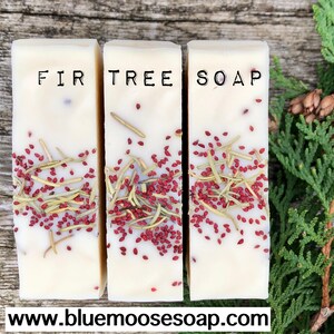 Fir Tree Soap / All Natural Soap / Vegan Soap / Handmade / Soap Gift