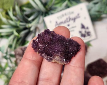 Alacam Mine Turkish Amethyst Cluster | 1.25–1.5" Raw Purple Druzy Crystal Specimen