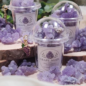 Mini Grape Agate Crystal Cup | 20g Natural Purple Botryoidal Chalcedony mini clusters