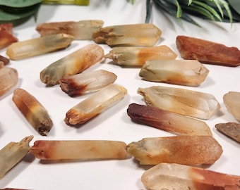 Small Amphibole point quartz crystal from Brazil (1 -1.5 inches) z40