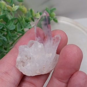 May include: A small, clear quartz crystal cluster with a larger, pointed crystal on top. The cluster is a light purple color, while the pointed crystal is clear. The cluster is sitting on a hand.