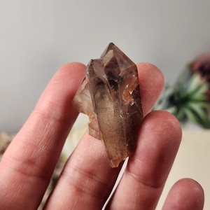 May include: A hand holding a raw, brown quartz crystal. The crystal has a pointed, faceted structure with a translucent appearance. The background is blurred, with hints of a rose and greenery.