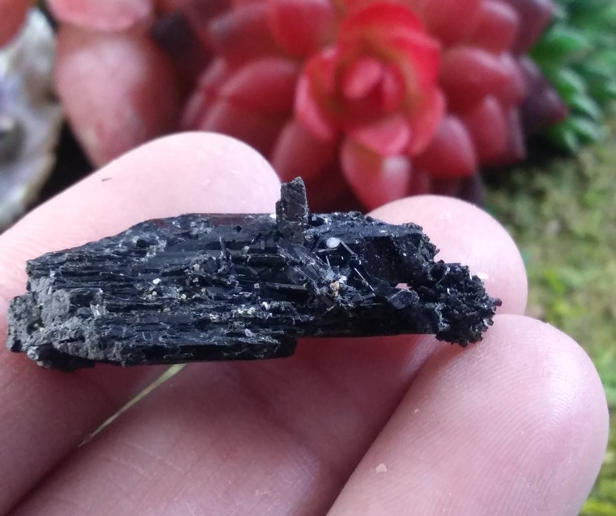 Pack B Aegirine Aegerine Collectables Collectable Rocks Fossils Minerals