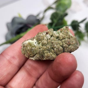 Mimetite Mineral Specimen on matrix, Mexico Genuine Crystals z35