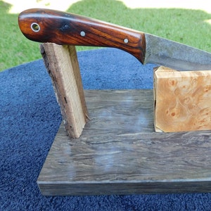 Damascus Skinner with Desert Ironwood Handle