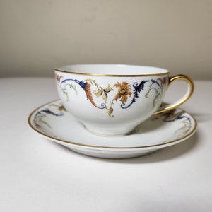 Haviland & Co Limoges France Tea Cup and Saucer, Schleiger 701