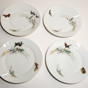 May include: Four white ceramic plates with a decorative butterfly and floral design. Each plate features a different butterfly and a delicate arrangement of flowers and foliage in shades of green, yellow, and brown.