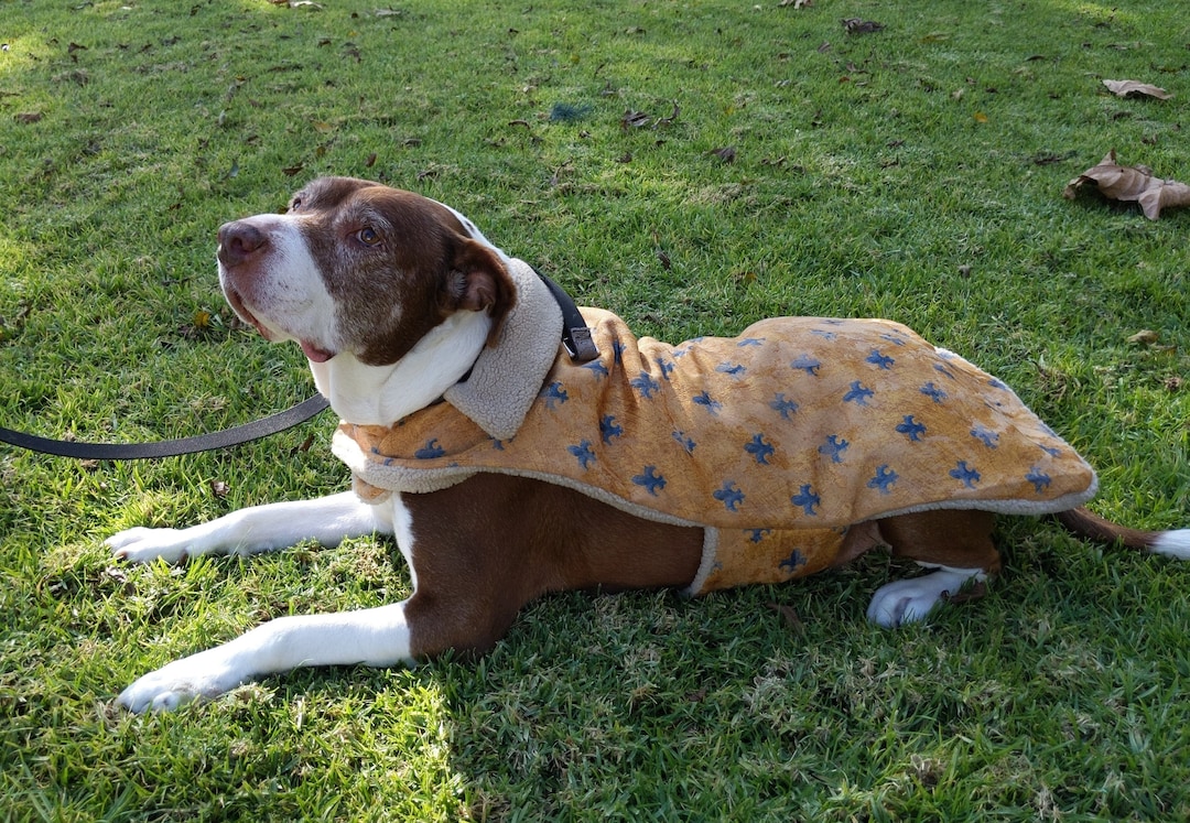 Antistress Jacket for Dogs and Cats Etsy UK