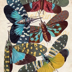 Impresión de la polilla, descarga instantánea de alta resolución, arte de la pared, decoración del dormitorio, decoración de la oficina, cartel de la polilla, decoración del insecto, polilla imprimible imprimible
