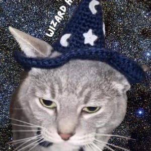 May include: A gray tabby cat wearing a blue knitted wizard hat with white stars and crescent moons. The hat has the text "WIZARD HAT" written on it.