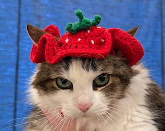 May include: A white and brown tabby cat wearing a red crocheted strawberry hat with green leaves.