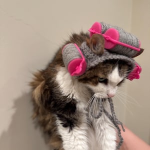 May include: A calico cat wearing a gray crocheted hat with pink curlers. The cat has brown, white, and black fur and is looking down. The cat is being held by a person.