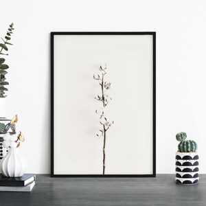 Cotton Stem Photographic Print Wall Art | A4 A3 A2 A1