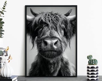 The Hairy Highlander, Highland Cow Print Wall Art | A4 A3 A2 A1