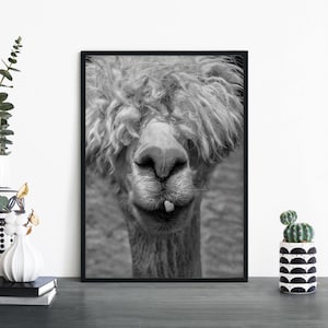 Bad Hair Day Print Wall Art | A4 A3 A2 A1