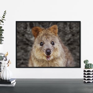 Cute as a Quokka Print Wall Art | A4 A3 A2 A1
