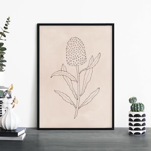 Banksia / Arte de pared de impresión ilustrativa floral nativa australiana / A4 A3 A2 A1