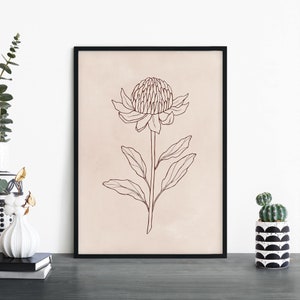 Waratah / Arte de pared de impresión ilustrativa floral nativa australiana / A4 A3 A2 A1
