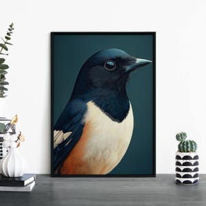 Impresión ilustrativa de urraca / Aves australianas / Arte mural / A4 / A3 / A2 / A1