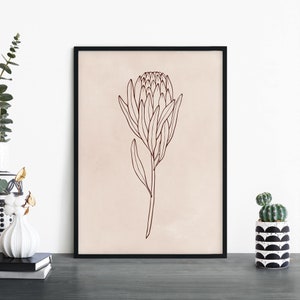 Protea / Arte de pared de impresión ilustrativa floral nativa australiana / A4 A3 A2 A1