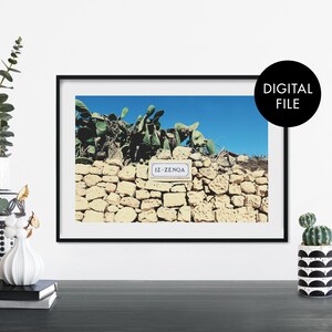 Cactus, Gozo, Malta Print Wall Art | Print At Home | Digital Download File