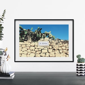 Kaktus, Gozo, Malta Kunstdruck | A4 A3 A2 A1