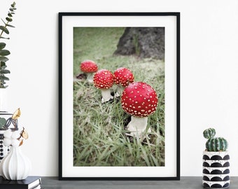 Toadstools Print Wall Art | A4 A3 A2 A1