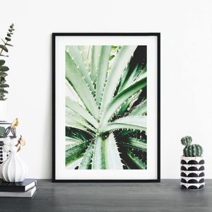 Aloe Print Wall Art | A4 A3 A2 A1