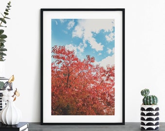 Autumn Leaves Print Wall Art | A4 A3 A2 A1