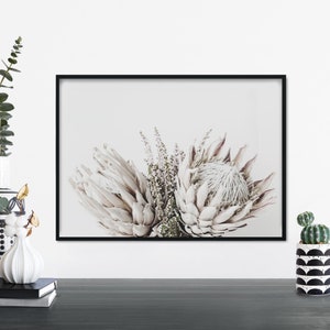 Australian Native Bouquet Floral Photographic Print Wall Art | A4 A3 A2 A1