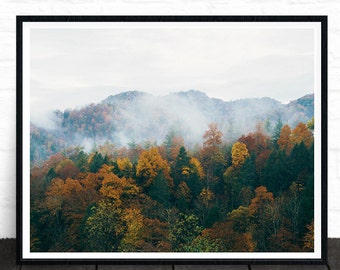 Nature Prints, Forest Wall Art, Forest Art, Forest Photo Prints, Nature Photography, Autumn, Landscape Prints, Fall Photo, Tree Print