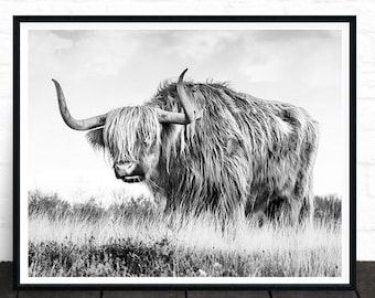 Highland Cow Print, Highland Cow Art, Bull Print, Black and White Wall Art Print, Large Animal Art Photo Prints, Animal Poster, Farm Animals