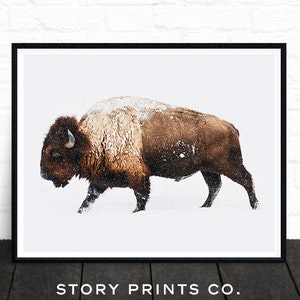 Buffalo Print, Bison Print, Large Wall Art Print, Farmhouse Decor, Animal Prints, Animal Poster Art, Living Room Art, Boys Bedroom Decor image 1