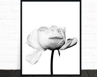 Flower Wall Art, Floral Print, Black and White, Floral Art, Flower Art, Modern Wall Art, Scandinavian Print, Minimalist Decor, Printable Art