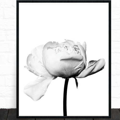 Black and White Flower Photography Printable Floral Art Etsy
