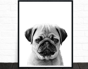 Pug Print, Pug, Pug Art, Pug Gifts, Dog Print, Pet Portrait, Black and White Animal Prints, Printable Animal Art, Dog Nursery Print, Affiche