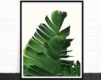 Tropical Print, Palm Leaf Print, Banana Leaf Print, Green, Leaves, Botanical Print, Plant Print, Palm Print, Scandinavian Poster, Nature Art