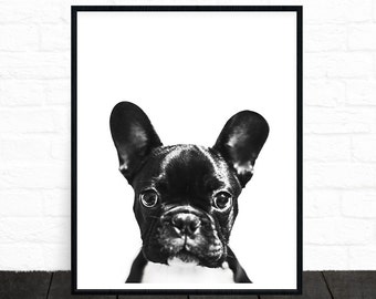 Französische Bulldogge Druck, Französische Bulldogge Geschenke, Hund Druck, Pet Portrait, schwarz und weiß Tier Drucke, schwarz und weiß Kindergarten, druckbare Kunst