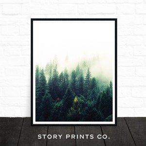 Forest Print, Nature Prints, Forest Photography, Forest Wall Art, Woodland Prints, Forest Nursery Decor, Printable Art, Wilderness Poster image 1