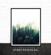 Forest Print, Nature Prints, Forest Photography, Forest Wall Art, Woodland Prints, Forest Nursery Decor, Printable Art, Wilderness Poster 
